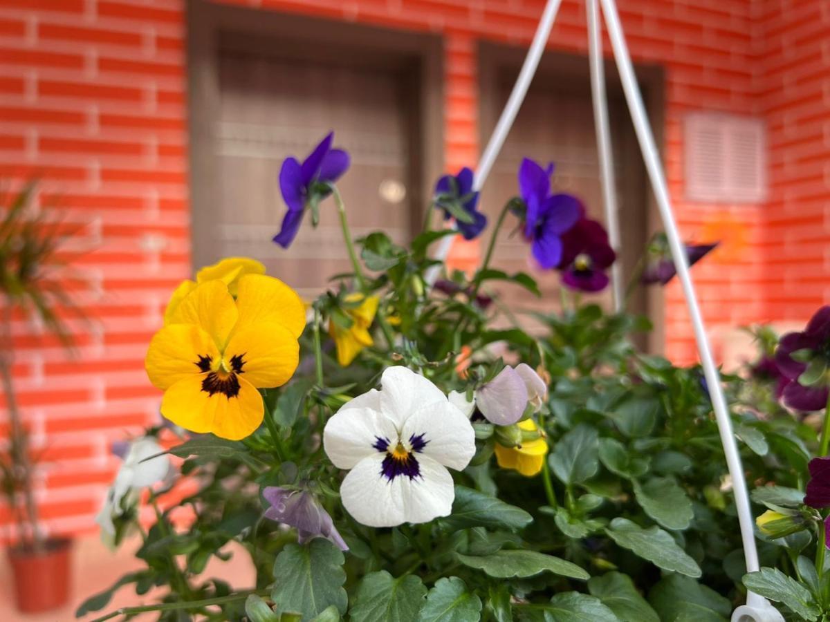 Chestnut Yard Villa Tiran Dış mekan fotoğraf